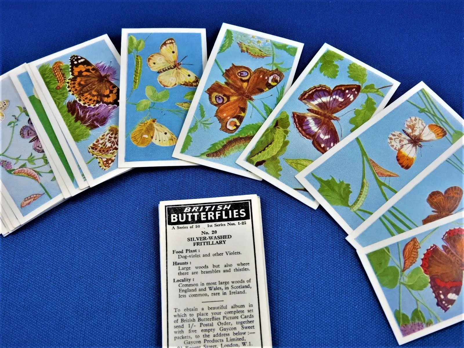 CBT - Gaycon Products Ltd.  - 1962 - British Butterflies