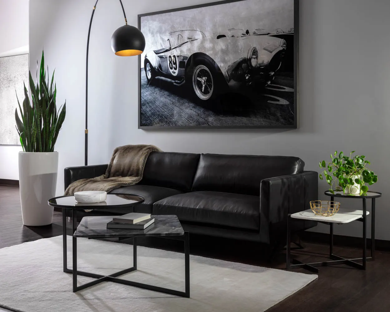 Cobra 427 - 72" X 48" - Charcoal Frame